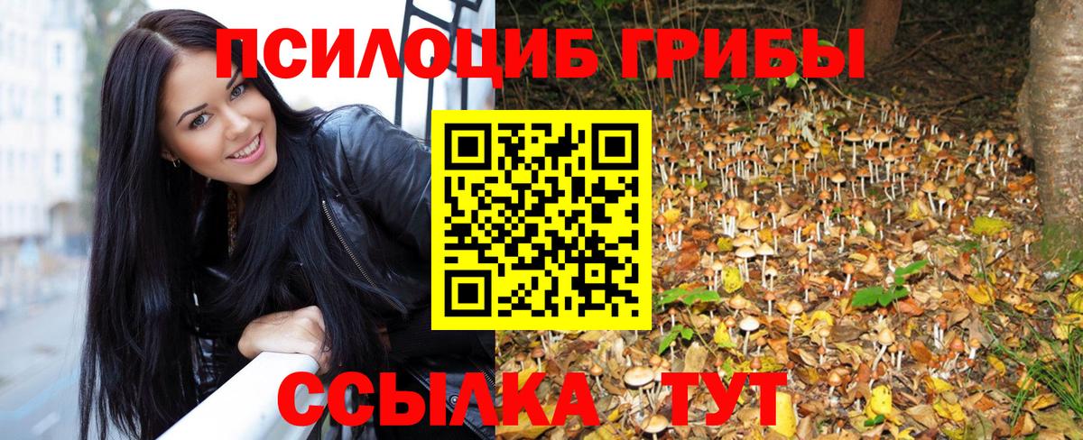 Псилоцибиновые грибы прущие грибы  Вход с VPN  Туапсе 